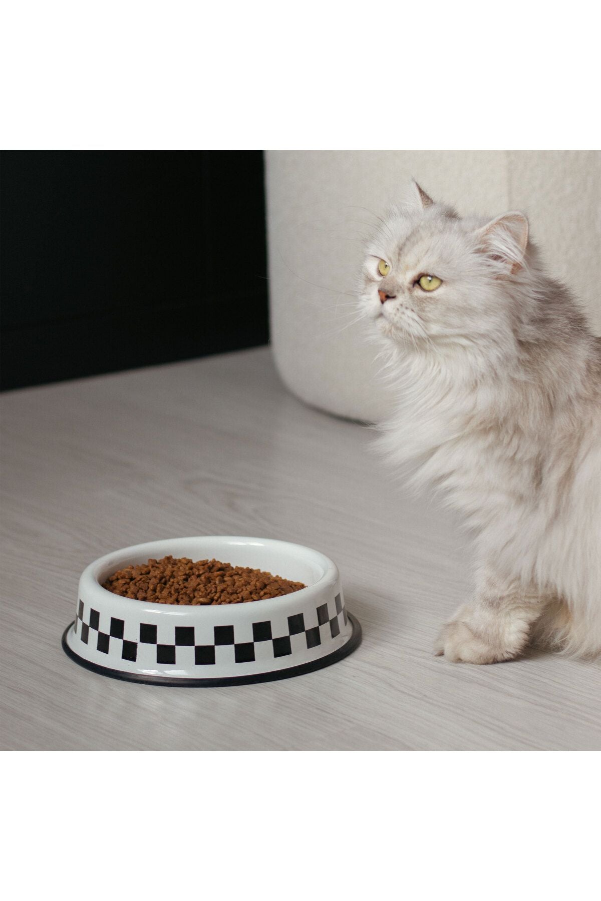Emaye Kedi Köpek Mama Ve Su Kabı Dama