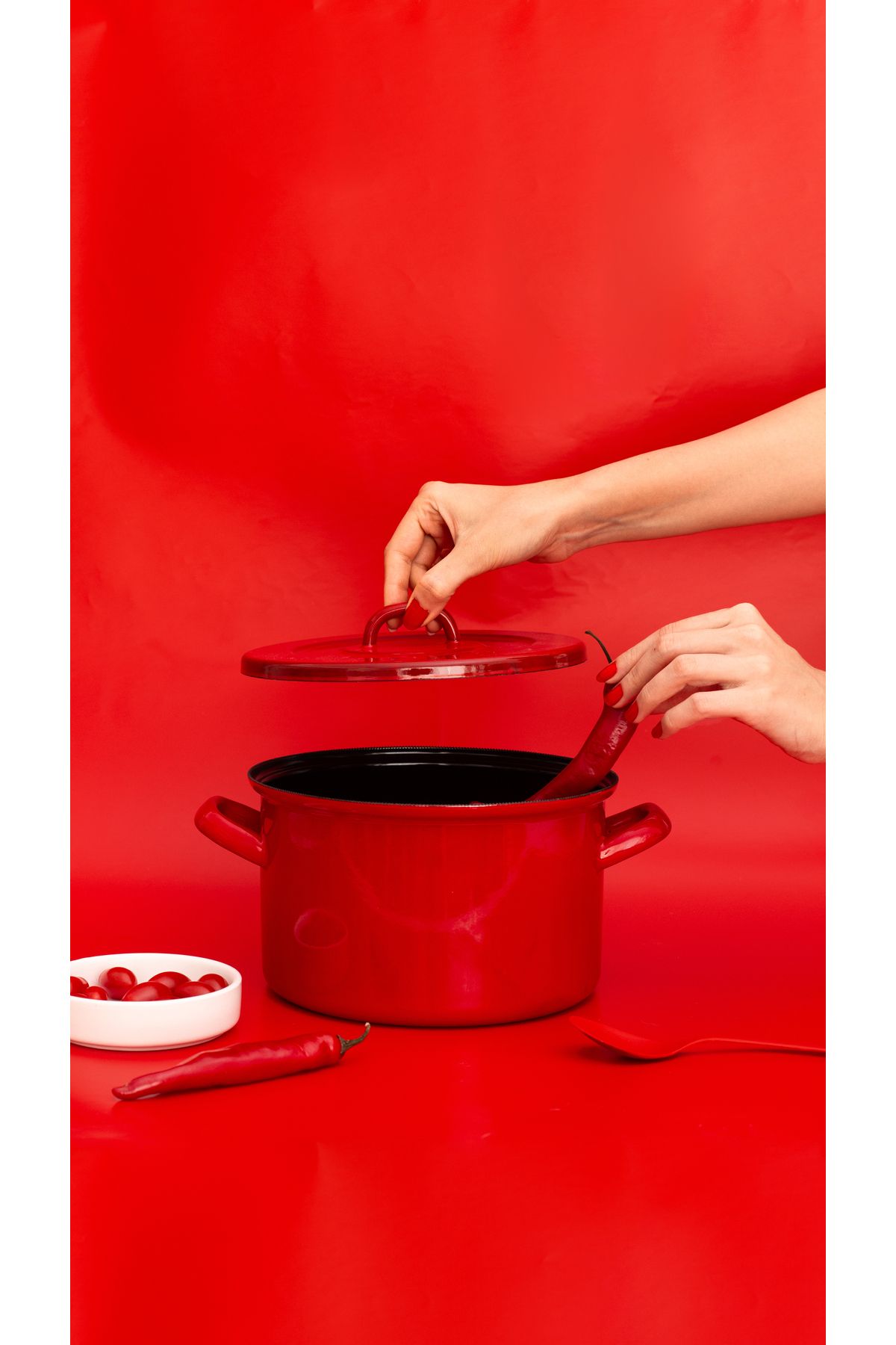 Rainpot Tencere 22 Cm