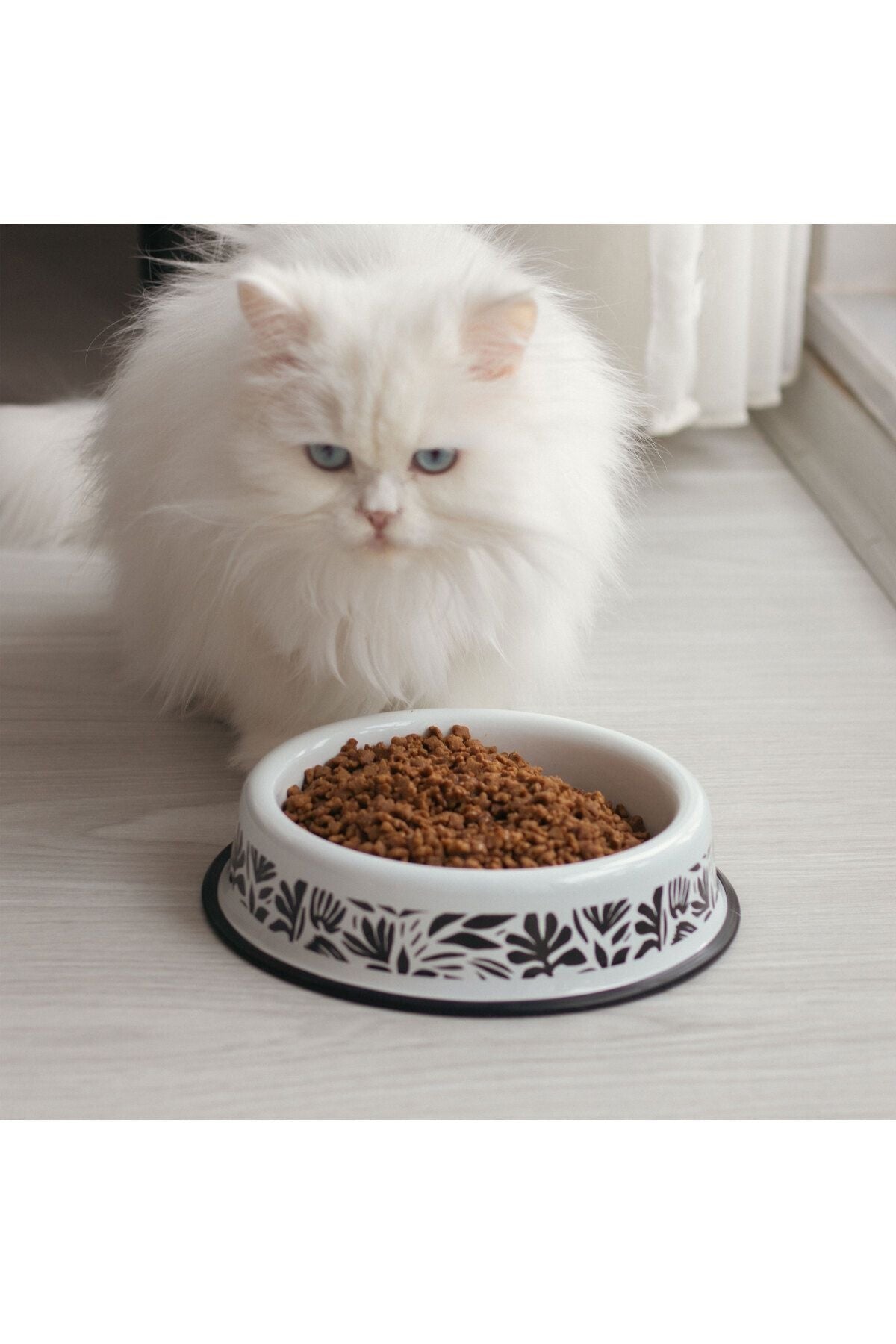 Emaye Kedi Köpek Mama ve Su Kabı Abstract