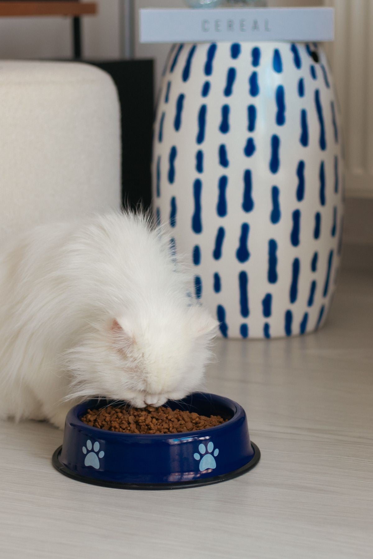 Emaye Kedi Köpek Mama ve Su Kabı Pati Desen