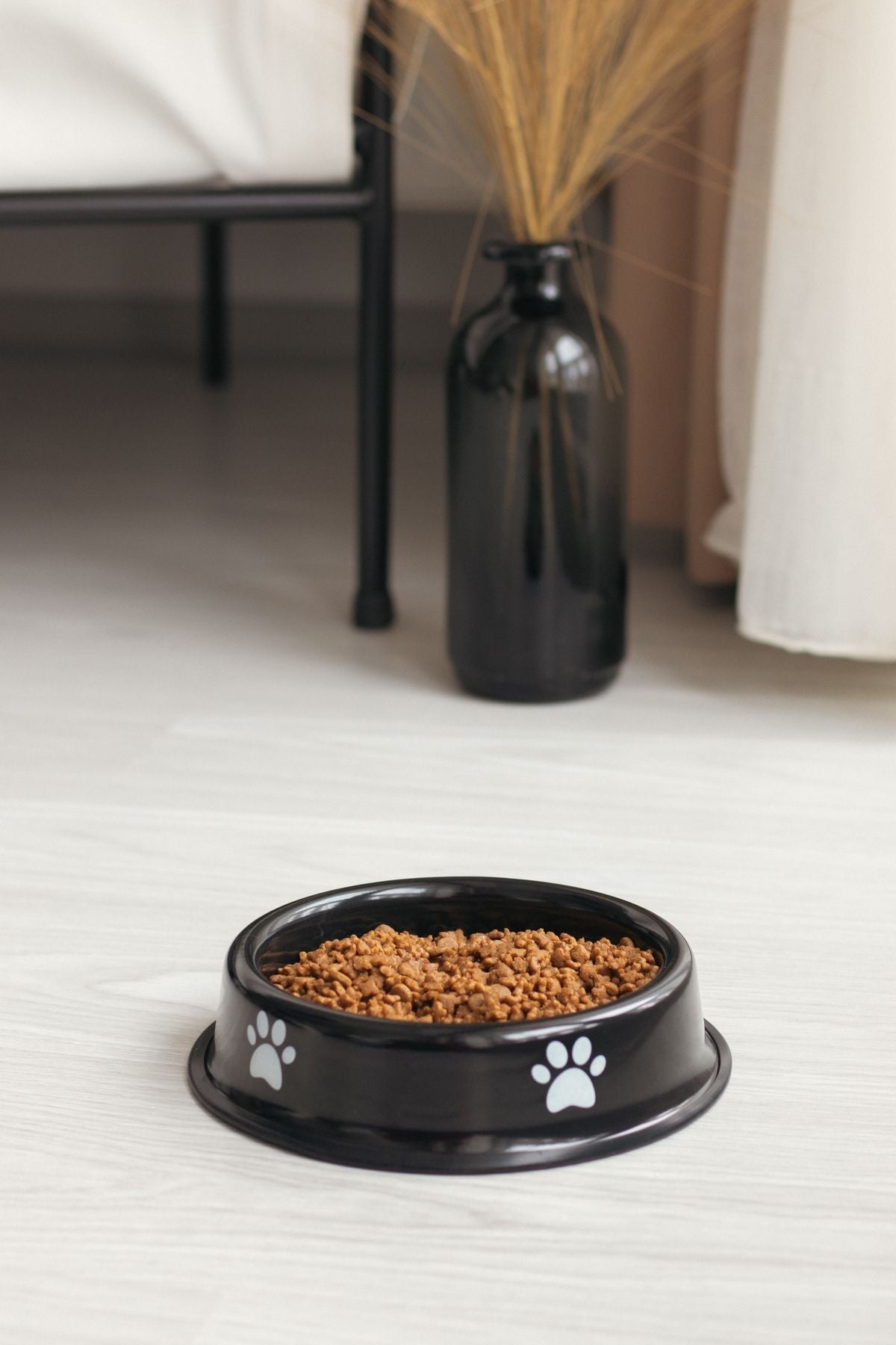 Emaye Kedi Köpek Mama ve Su Kabı Pati Desen