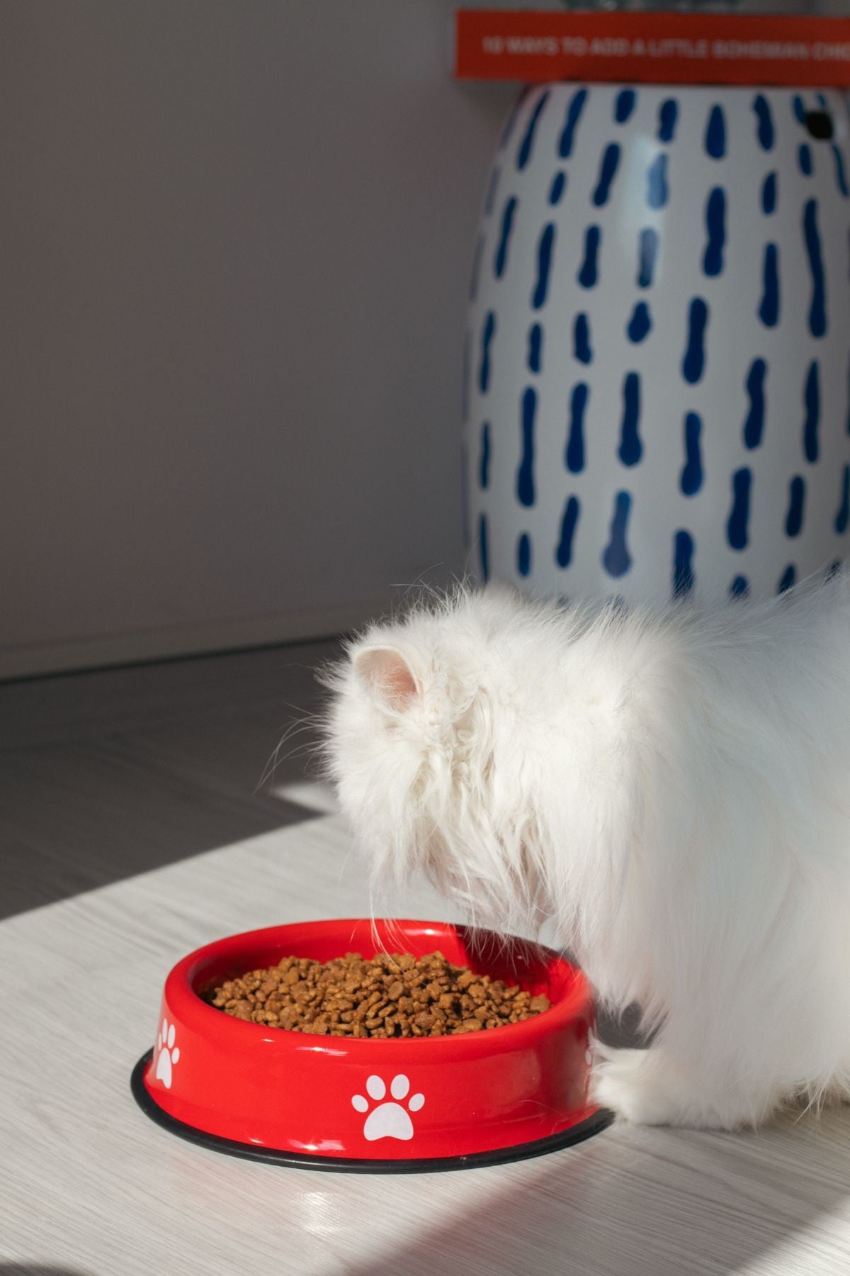 Emaye Kedi Köpek Mama ve Su Kabı Pati Desen