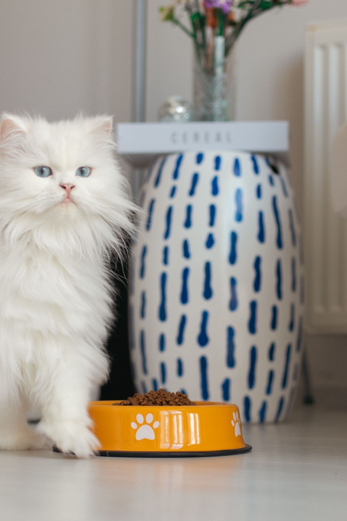 Emaye Kedi Köpek Mama ve Su Kabı Pati Desen
