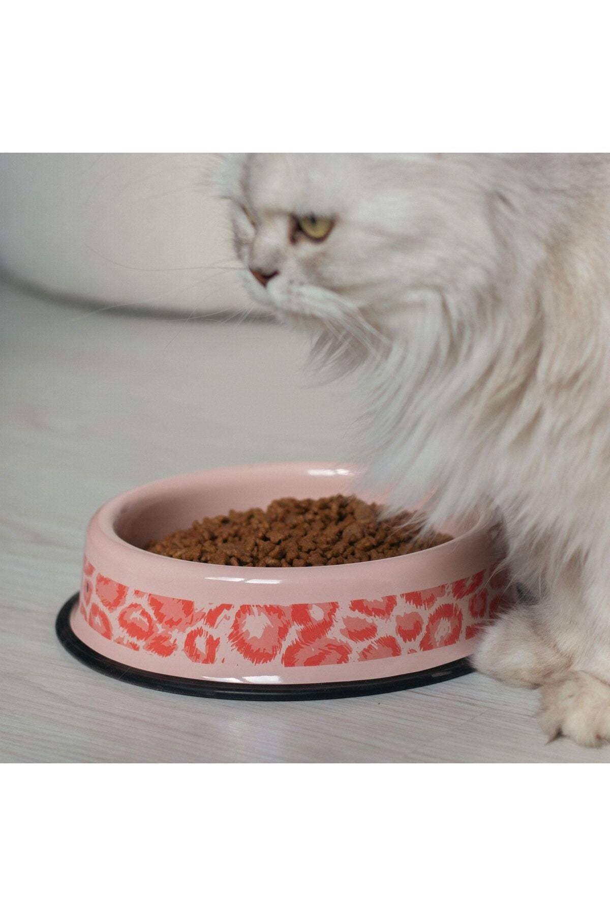 Emaye Kedi Köpek Mama Ve Su Kabı Renkli Pati