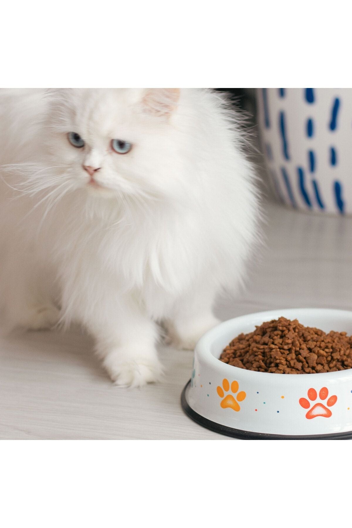 Emaye Kedi Köpek Mama Ve Su Kabı Renkli Pati