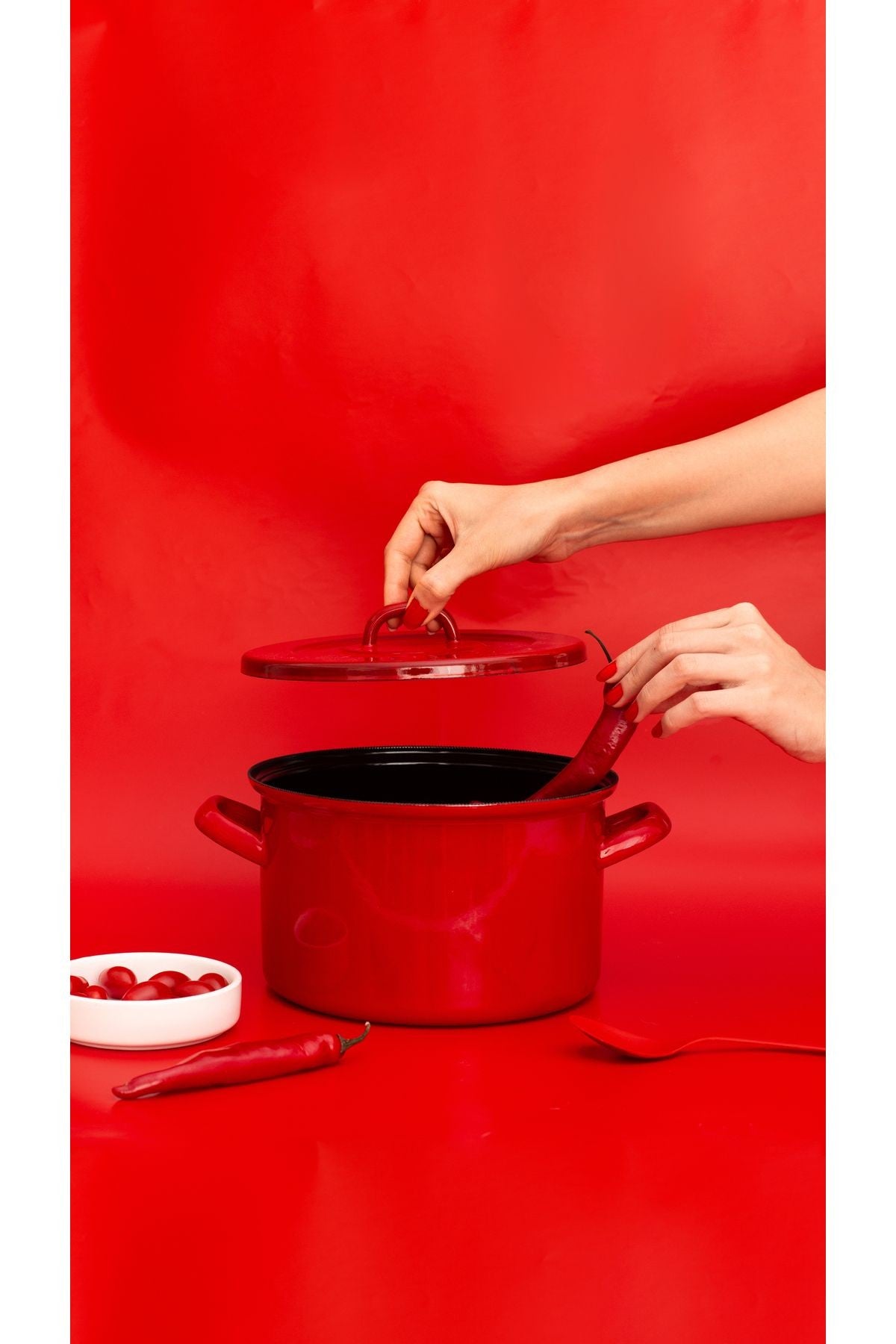 Rainpot Tencere 22 Cm